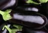 Eggplant bunch
