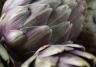 Globe Artichoke small