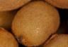 Kiwifruit