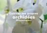 soigner des orchidées