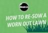 How to re-sow a lawn using grass seed