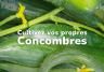 Cultivez vos propres concombres