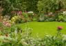 A neatly cut real grass lawn surrounded by borders full of colourful flowers 