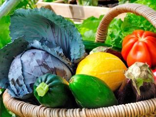 Why use organic and natural pesticides?