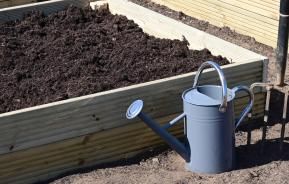 Raised Bed