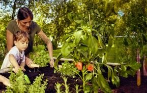 Mutter bepflanzt Hochbeet im Garten mit ihren Kindern