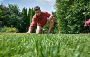 Mann streicht über perfekten Rasen im Garten