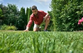 Marder vertreiben  Liebe Deinen Garten