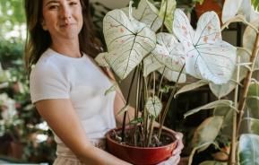 PELTON FERTILIGENE GOUD4 - Cicatrisant goudron de pin dit de Norvège 800 G  - Pour cicatriser les plaies des arbres et arbustes - Prêt à l'emploi 