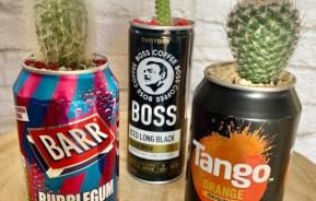 Cactus in a can