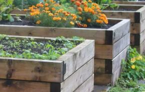 diy pallet garden