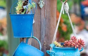 Upcycled Kitchen Pot Planter