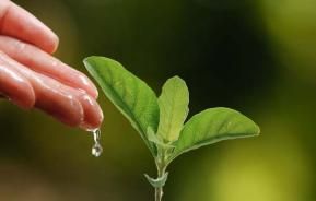evergreen garden care onderneemt duurzaam - een stand van zaken