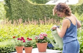 Stralende planten in huis, op het terras, in de tuin en moestuin