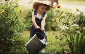 tuin te verzorgen bij warm en droog weer