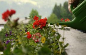 Terrassengestaltung im Frühling