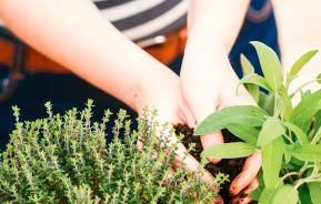 Tipps zum Balkon gestalten