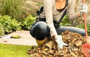 Die richtige Rasenpflege im Herbst