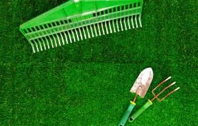 Zielony i gęsty trawnik z narzędziami ogrodniczymi
