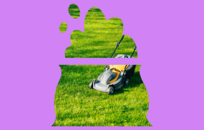 Aussie homeowner’s guide to a lush green lawn