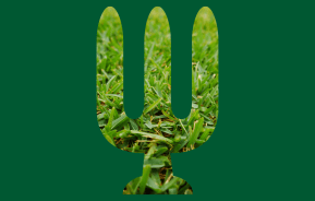 Weed, Feed & Green-Up