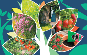 CSR_rapport_2025