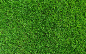 Lawn fertiliser commercial