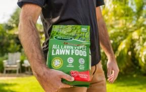 How to properly feed your lawn