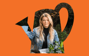 Tips For Growing Healthy Plants & Veggies
