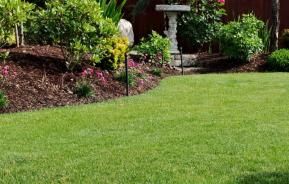 Een gezond, diepgroen en strak gemaaid gazon langs een border met planten en boomschors, het resultaat van goede gazonverzorging met Revolution Gazon.