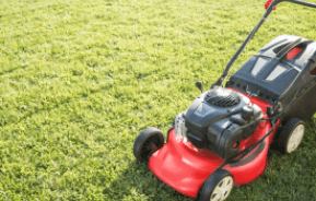 Mowing Lawn