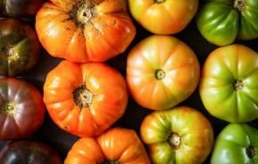 heirloom tomatoes