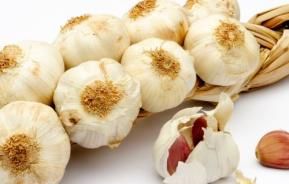 plaited garlic