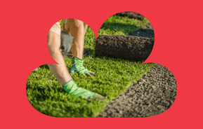 Laying New Lawn 