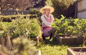 Le jardinage, indispensable à notre bien-être
