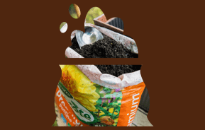 Potting Mix