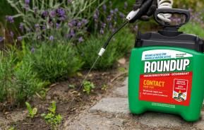 Roundup® Belgique Désherbant: FAQ | Ilovemygarden