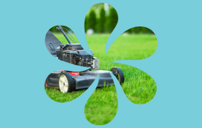 Spring lawn care