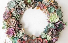 Christmas Succulent Wreath