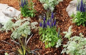 Finish your garden with decorative bark | Love The Garden