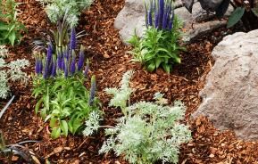 How to mulch and why