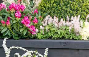 A guide to the perfect raised flower bed