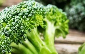 How to grow broccoli