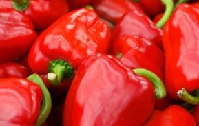 How to grow peppers