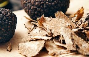 How to grow truffles