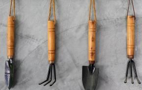 How to maintain and care for your gardening tools
