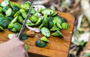 Un Jardin Potager Bio