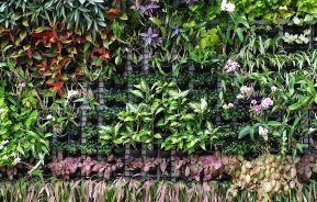 Make your own vertical garden