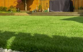 How to level a lawn