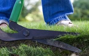 Lawn edging: a guide